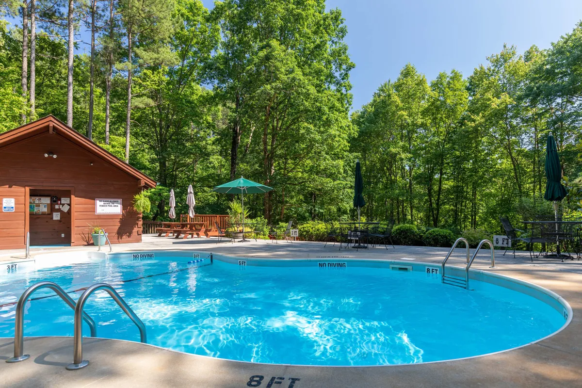 A sparkling swimming pool sits beside a rustic wooden cabin, shaded by green umbrellas and surrounded by tall trees. The tranquil outdoor setting invites guests to swim, sunbathe, and relax in nature, showcasing the seasonal pool and spa amenities mentioned in the narrative.